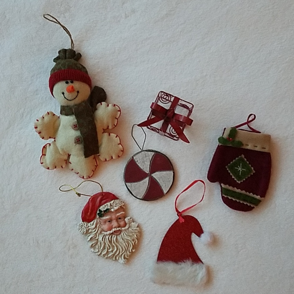 6 Holiday Ornaments